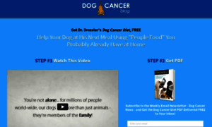 Dogcancerdiet.com thumbnail