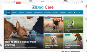Dogcareworld.net thumbnail