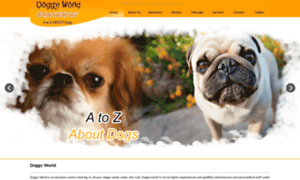 Dogclinicindelhi.com thumbnail