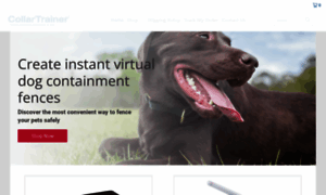 Dogcollartrainer.com thumbnail