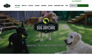 Dogdaycareokc.com thumbnail