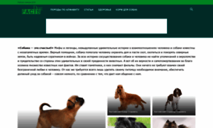 Dogfact.ru thumbnail