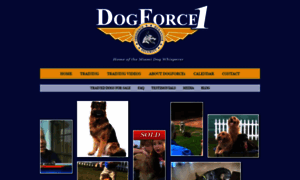 Dogforce1.com thumbnail