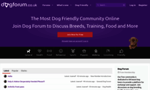 Dogforum.co.uk thumbnail