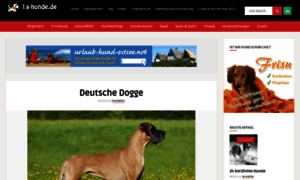 Doggen-in-flagranti.de thumbnail