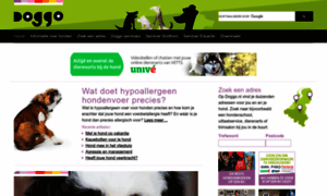 Doggo.nl thumbnail