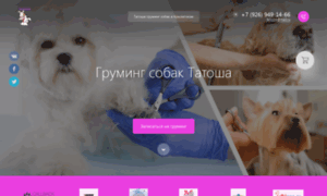Doggrooming.ru thumbnail