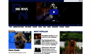 Dognews.com thumbnail