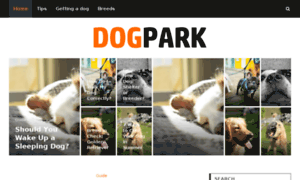 Dogpark.cc thumbnail