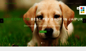 Dogpetshopinjaipur.com thumbnail