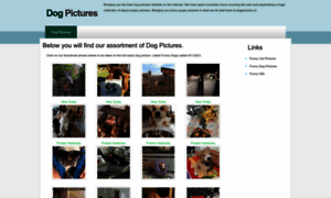 Dogpictures.co thumbnail