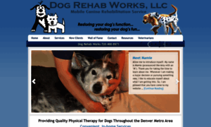 Dogrehabworks.com thumbnail