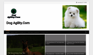 Dogs-agility.com thumbnail