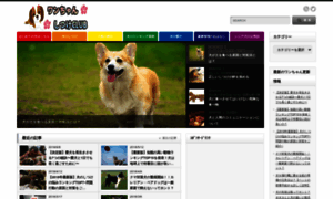 Dogs-info.jp thumbnail