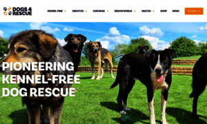 Dogs4rescue.co.uk thumbnail