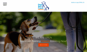 Dogsbestfriendtraining.com thumbnail
