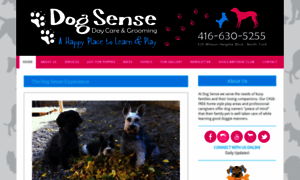 Dogsensedaycare.com thumbnail