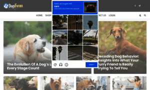 Dogsforum.net thumbnail