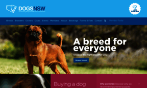 Dogsnsw.org.au thumbnail