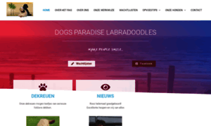 Dogsparadiselabradoodles.com thumbnail