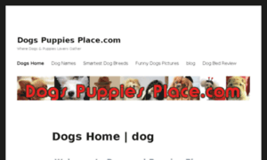 Dogspuppiesplace.com thumbnail