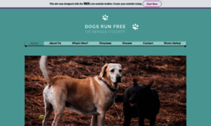 Dogsrunfree.net thumbnail