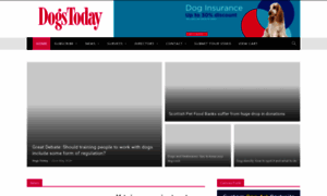 Dogstodaymagazine.co.uk thumbnail