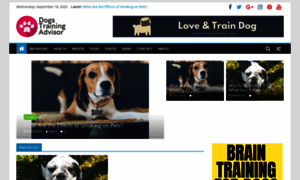 Dogstrainingadvisor.com thumbnail