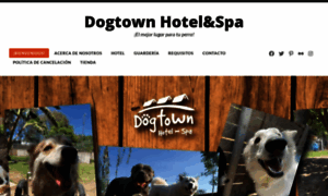 Dogtown.mx thumbnail