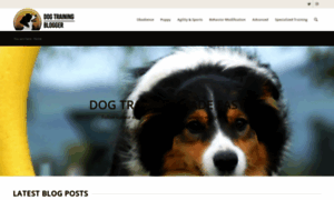 Dogtrainingblogger.com thumbnail
