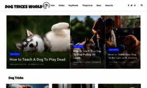 Dogtricksworld.com thumbnail