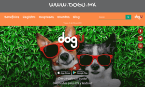 Dogu.mx thumbnail