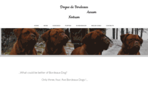 Doguedebordeaux.lv thumbnail