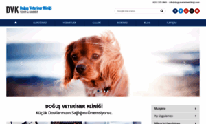 Dogusveterinerklinigi.com thumbnail