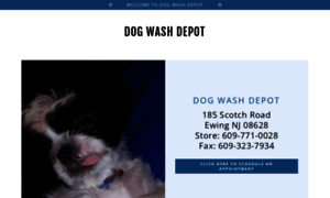 Dogwashdepot.com thumbnail