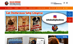 Dohak.org thumbnail