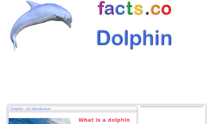 Dolphin.facts.co thumbnail