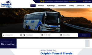 Dolphinbusservice.com thumbnail
