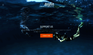 Dolphincommunicationproject.org thumbnail