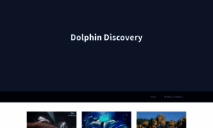Dolphindiscovery.weebly.com thumbnail