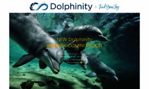 Dolphinity.com thumbnail