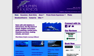 Dolphinjourneys.com thumbnail