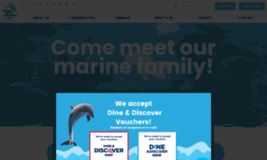 Dolphinmarinemagic.com.au thumbnail