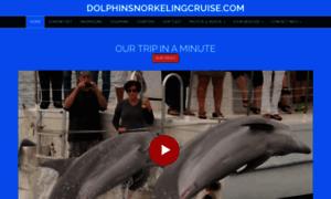 Dolphinsnorkelingcruise.com thumbnail