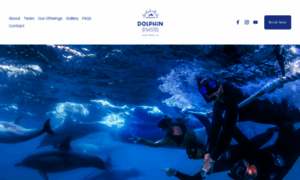 Dolphinswimaustralia.com.au thumbnail