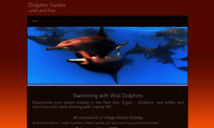 Dolphinswims.co.uk thumbnail