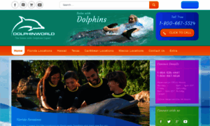 Dolphinworld.org thumbnail