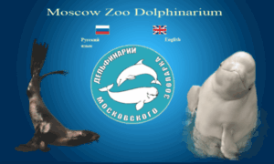 Dolphinzoo.ru thumbnail