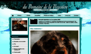 Domainedelaveyssiere.chiens-de-france.com thumbnail