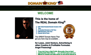 Domainking.com thumbnail